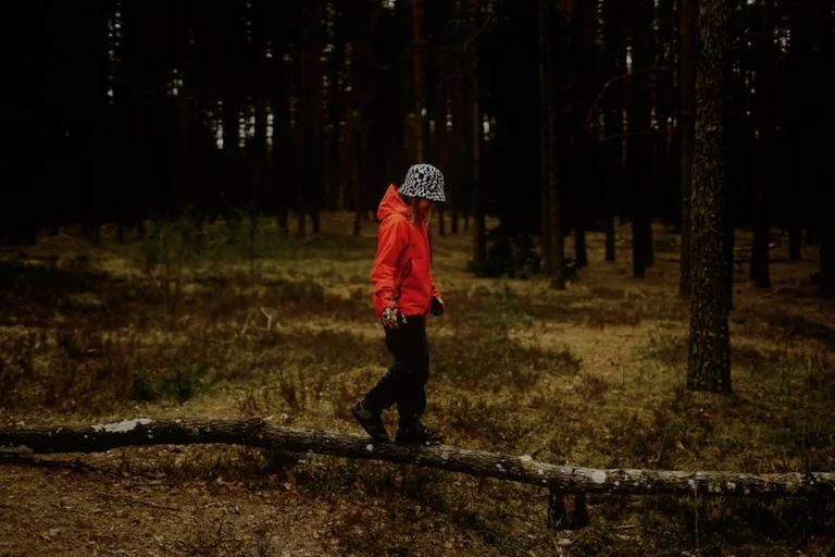 Sēņošana Latvijā 29.–30. augustā: drošības pārbaude