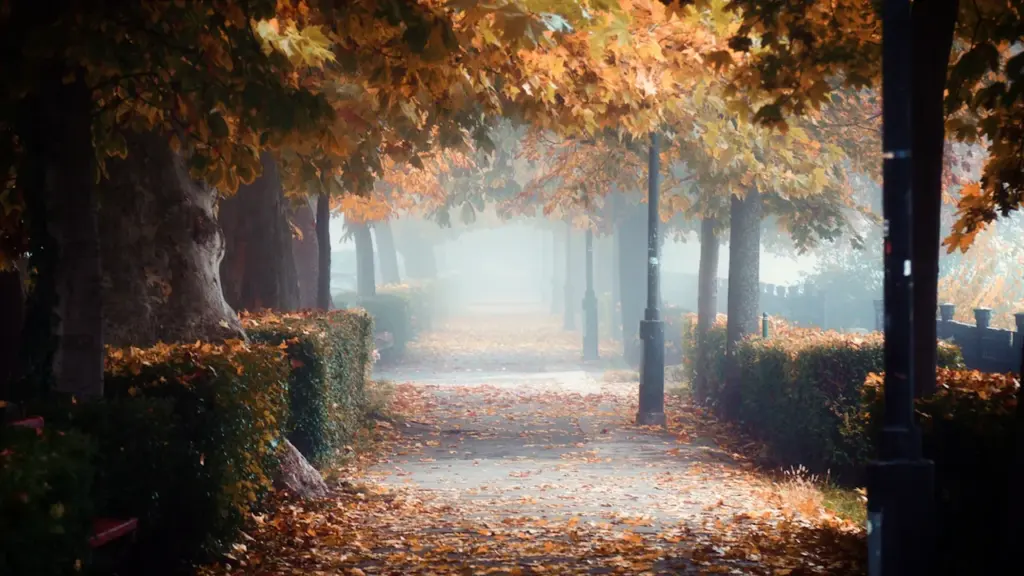 Rudens pastaigu taka parkā ar krāsainām lapām un dūmakainu atmosfēru.