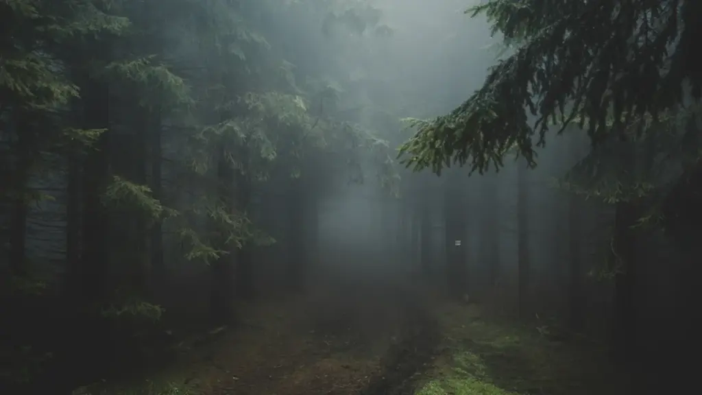 Miglains meža celiņš, kas simbolizē meklējumus un ceļu uz iekšējo mieru.